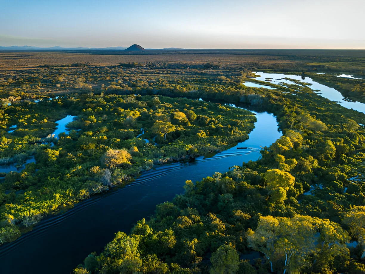 Why progress beats perfection in safeguarding nature and biodiversity among Asean businesses